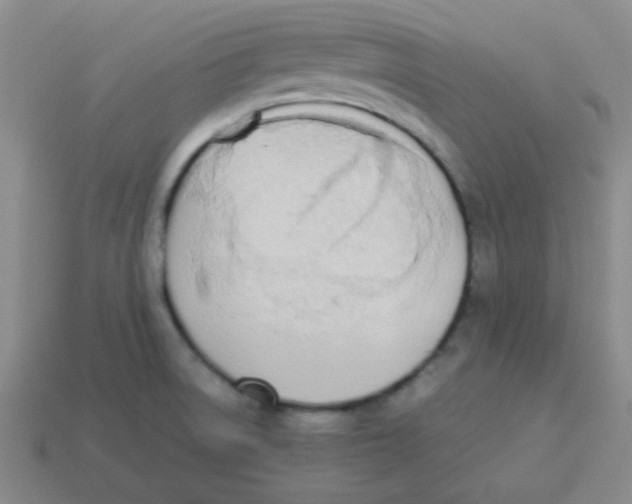 X0000113351522200910131229