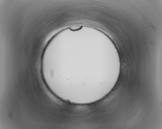 X0000113351523200910131229