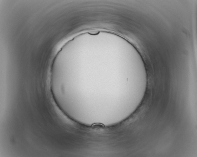 X0000113351524200910131229