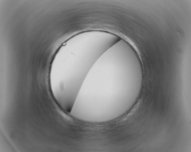 X0000113351525200910131229