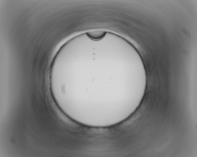 X0000113351526200910131229