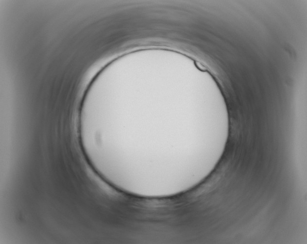 X0000113351527200910131229