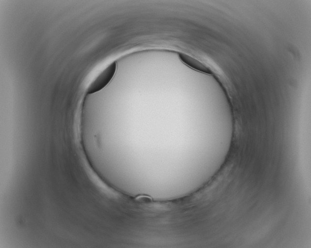 X0000113351528200910131229