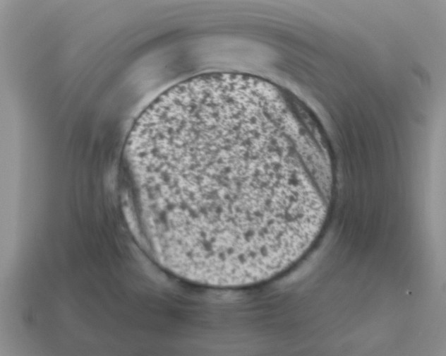 X0000113351529200910131229