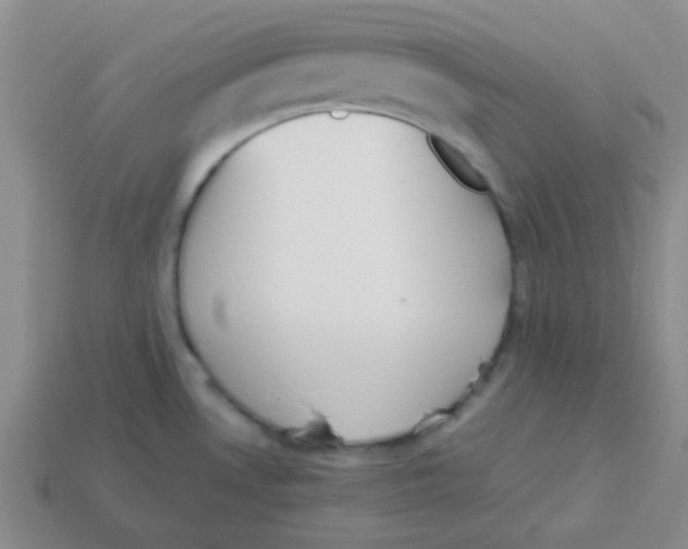 X0000113351530200910131229