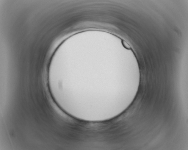 X0000113351531200910131229