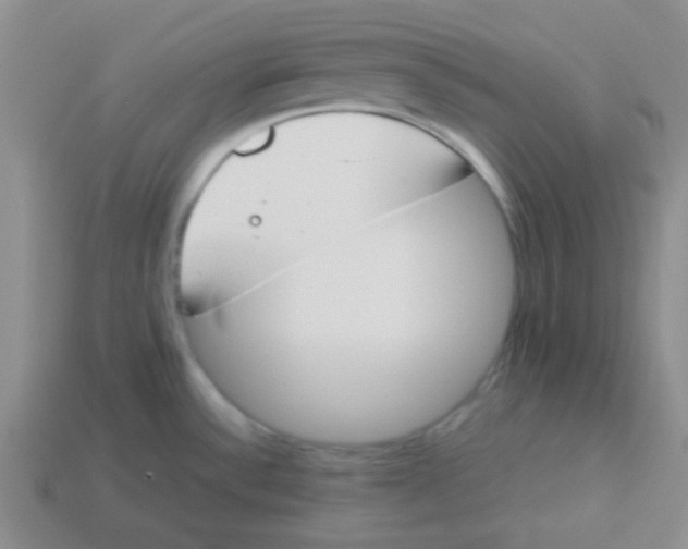 X0000113351532200910131229