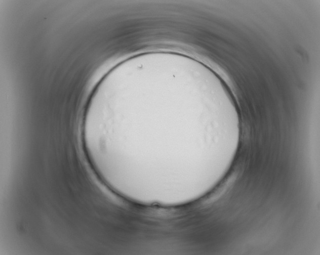 X0000113351533200910131229