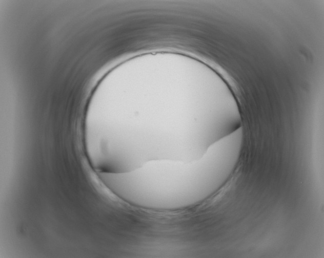 X0000113351534200910131229