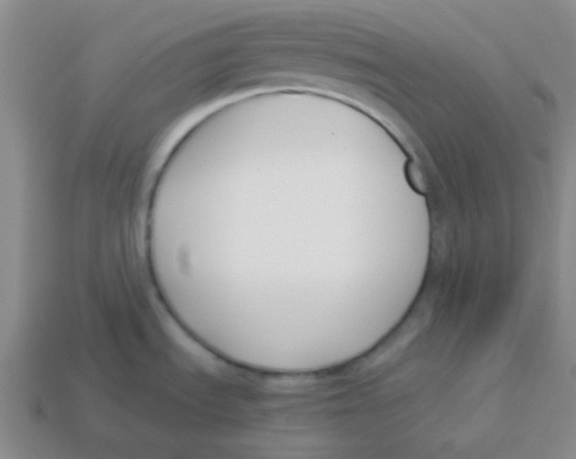 X0000113351535200910131229