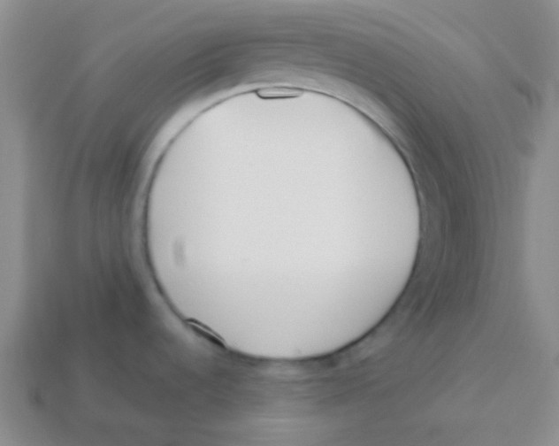 X0000113351536200910131229