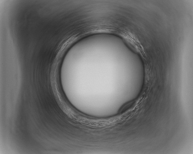 X0000113360001200909151016