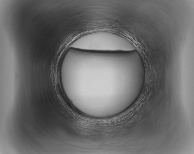 X0000113360002200909151016
