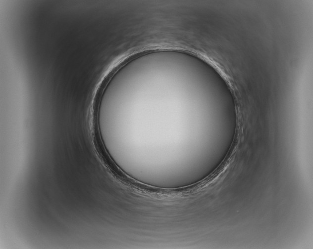 X0000113360008200909151016