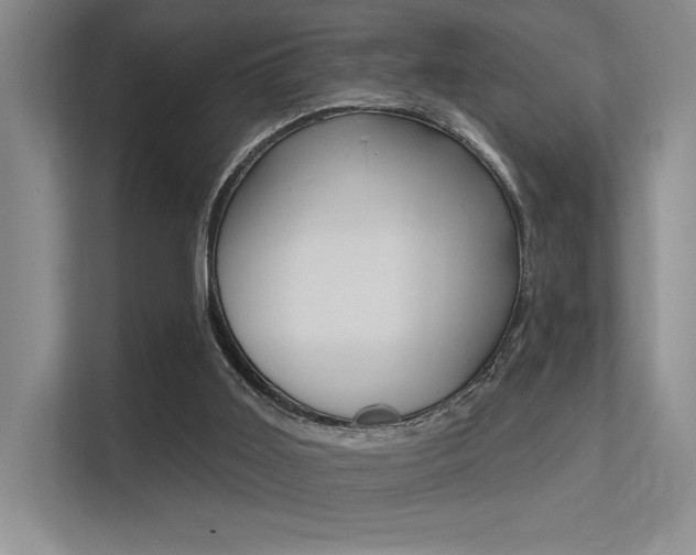 X0000113360011200909151016