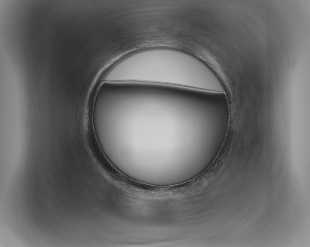 X0000113360012200909151016
