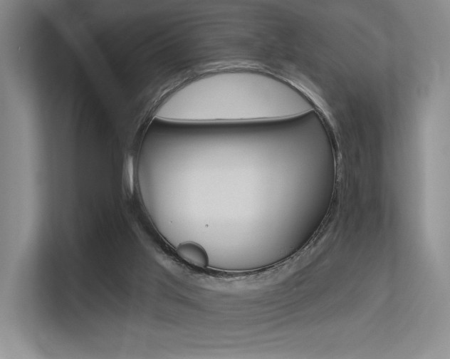 X0000113360013200909151016