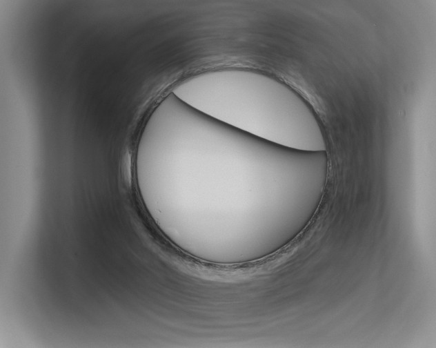 X0000113360014200909151016