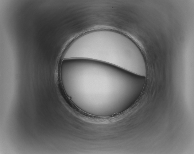 X0000113360015200909151016