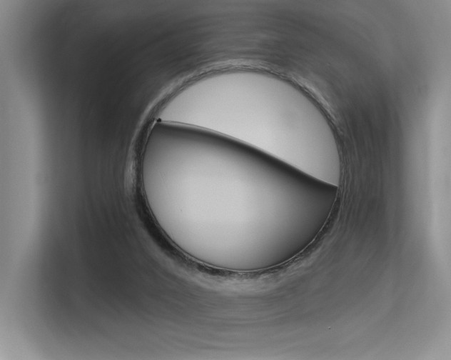 X0000113360016200909151016