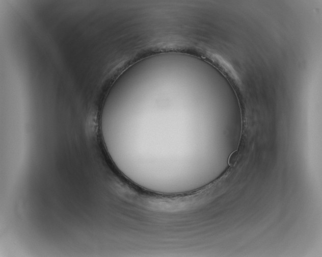 X0000113360017200909151016