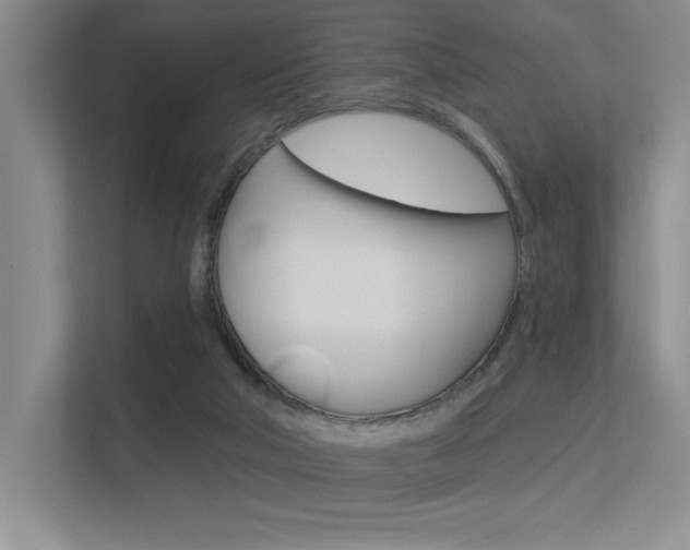 X0000113360018200909151016