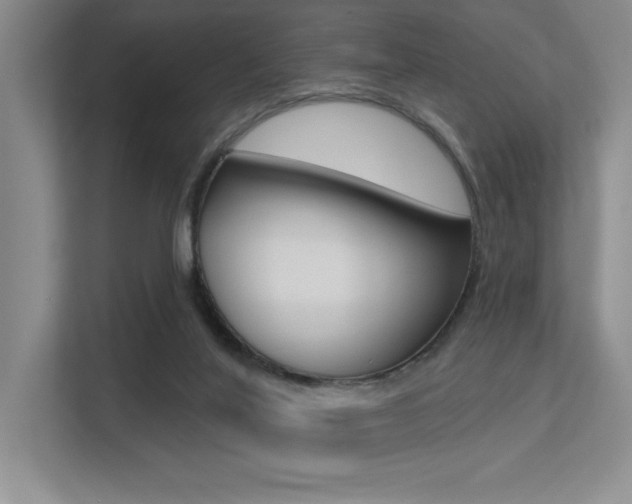 X0000113360020200909151016