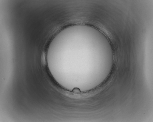 X0000113360022200909151016