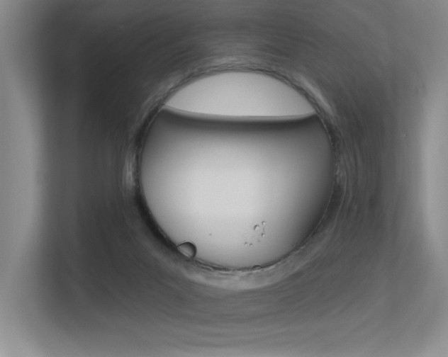 X0000113360023200909151016