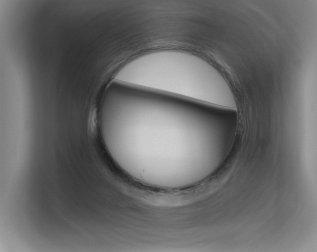 X0000113360024200909151016