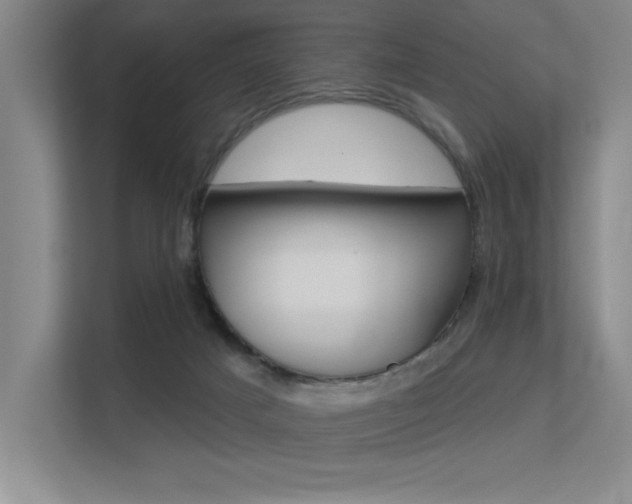 X0000113360025200909151016