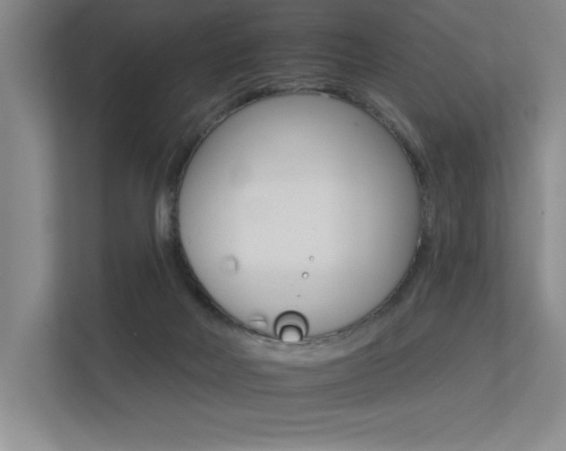 X0000113360026200909151015