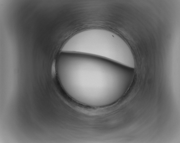X0000113360028200909151015