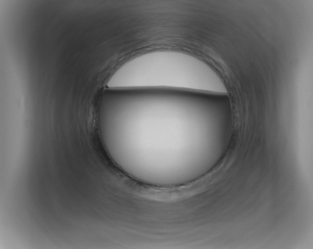 X0000113360029200909151015