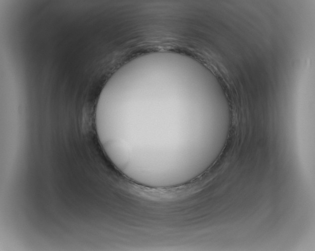 X0000113360030200909151015