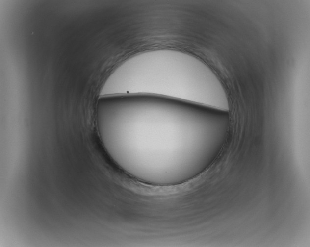 X0000113360031200909151015