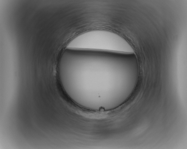 X0000113360032200909151015