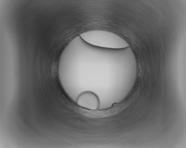 X0000113360034200909151015