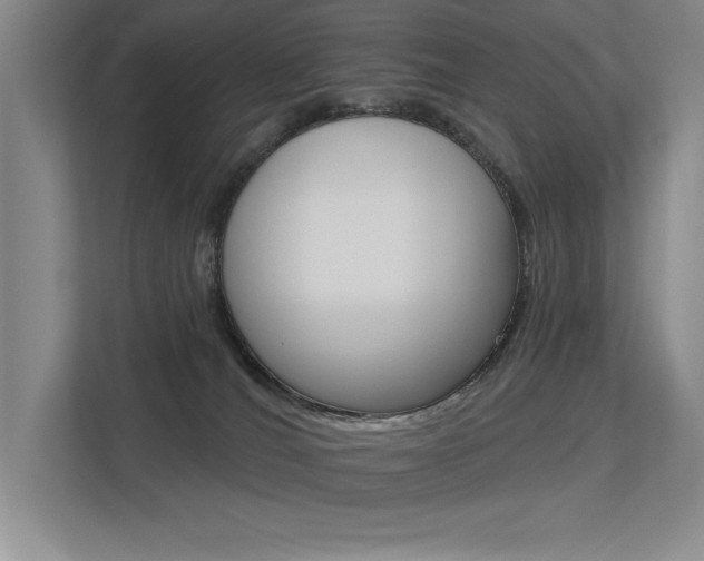 X0000113360036200909151015