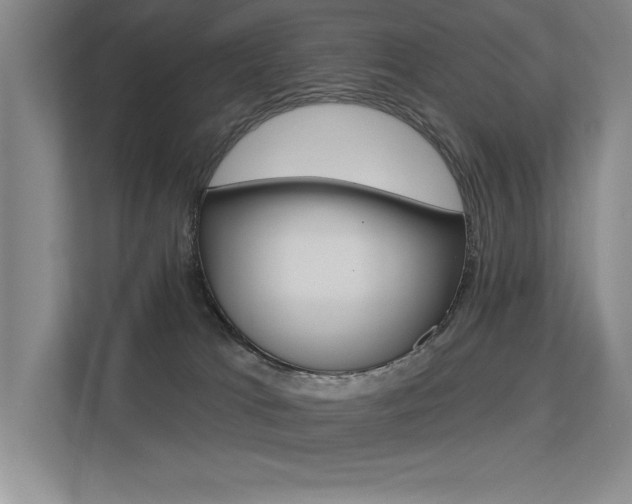 X0000113360037200909151015