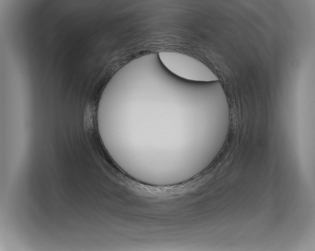 X0000113360038200909151015