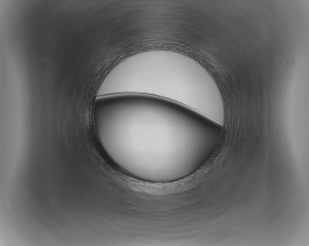 X0000113360039200909151015