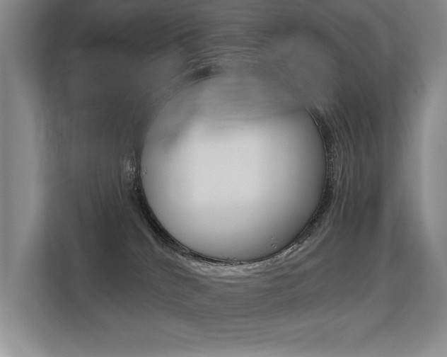 X0000113360040200909151015