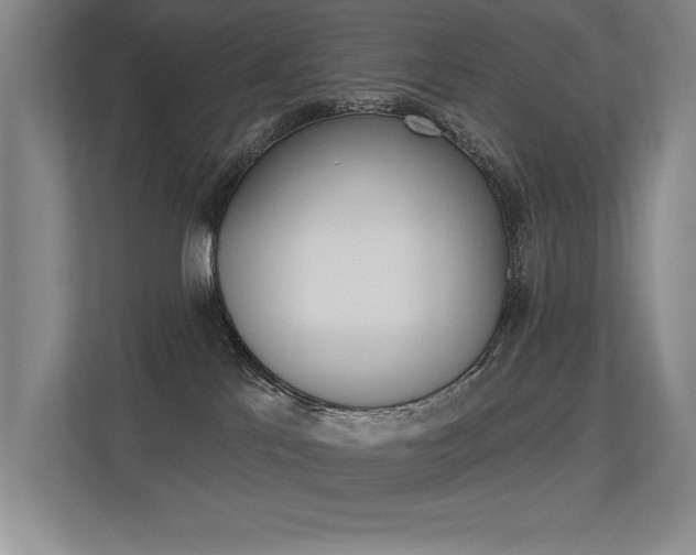 X0000113360041200909151015
