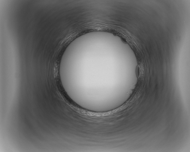 X0000113360043200909151015