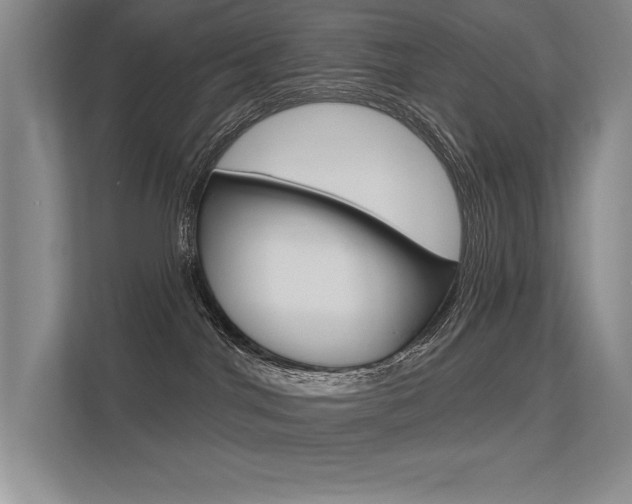 X0000113360044200909151015