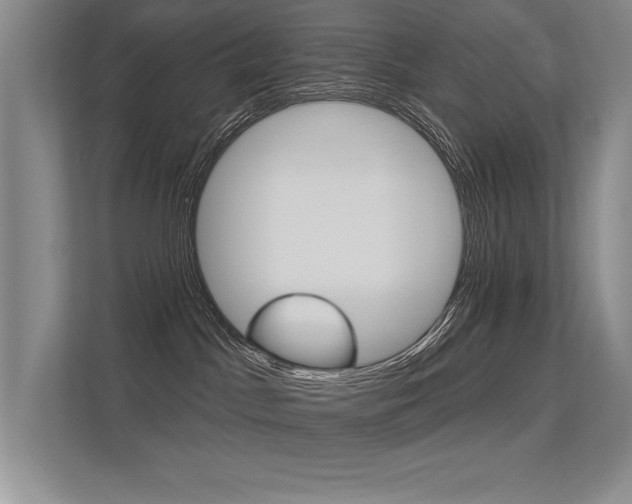 X0000113360045200909151015