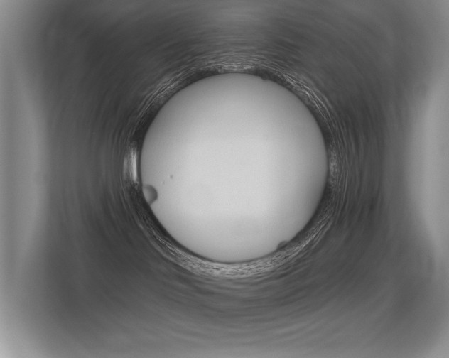 X0000113360046200909151015