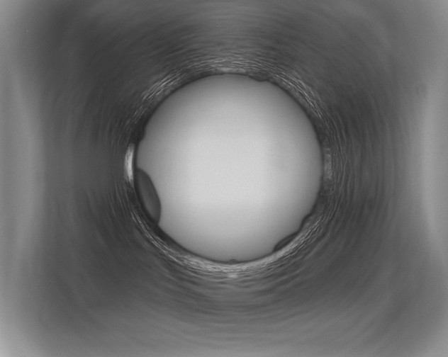X0000113360047200909151015