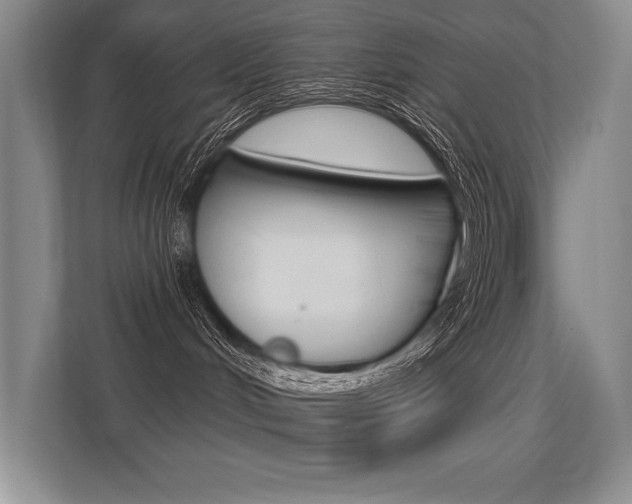 X0000113360048200909151015